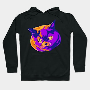 Dapper cat Hoodie